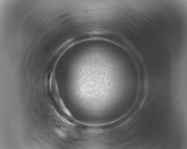X0000086050825200703301103