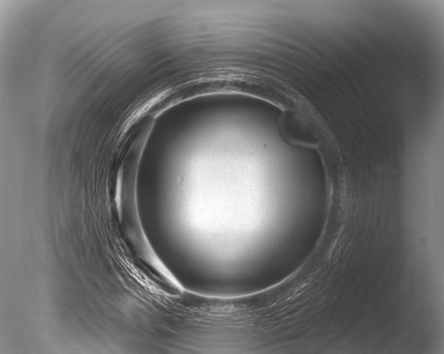X0000086050826200703301103