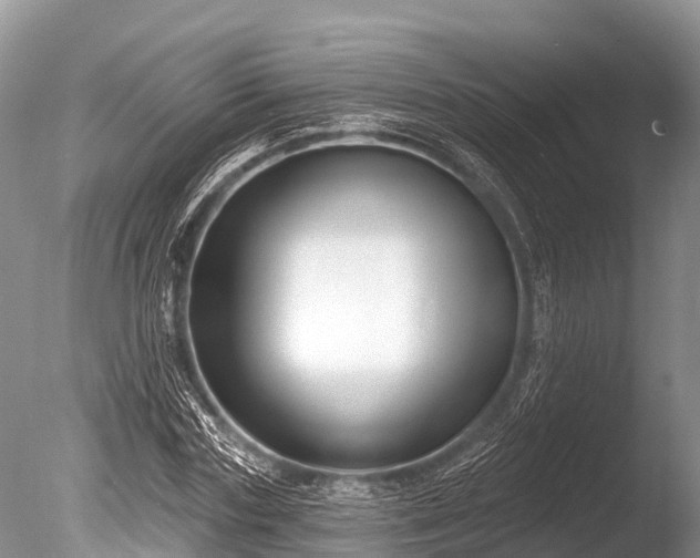 X0000086050827200703301103