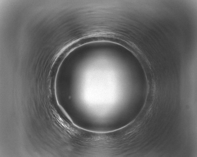 X0000086050830200703301103