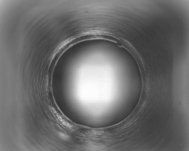 X0000086050831200703301103