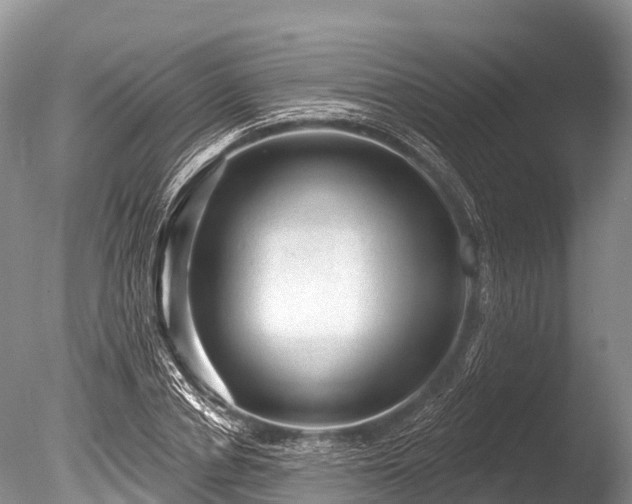 X0000086050834200703301103