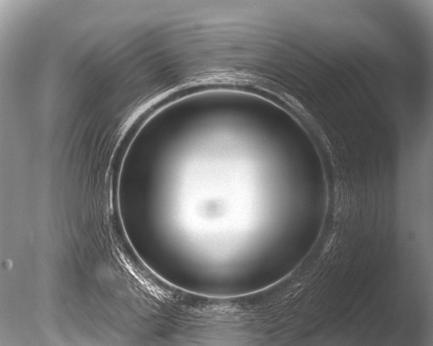 X0000086050838200703301104