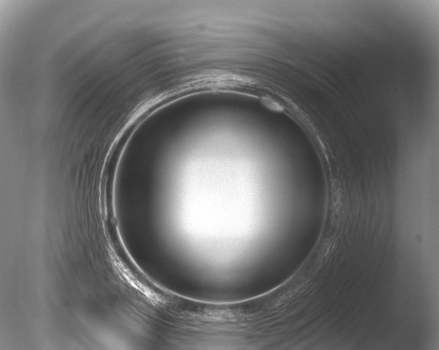 X0000086050843200703301104
