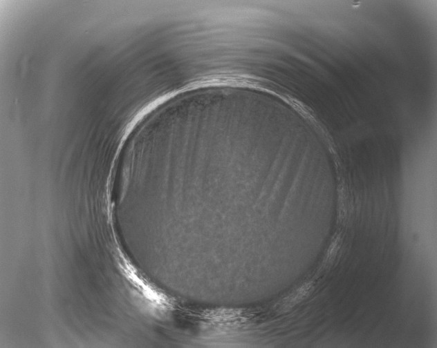 X0000086050846200703301104