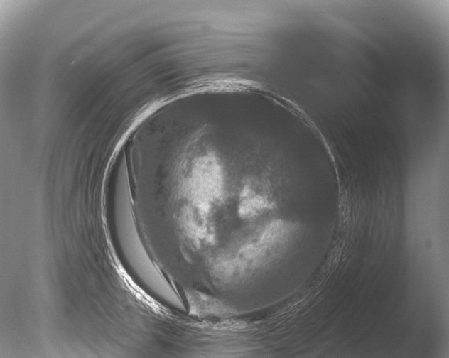 X0000086050851200703301104