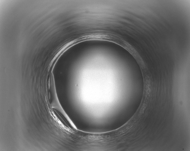 X0000086050852200703301104