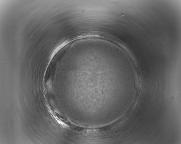 X0000086050858200703301104