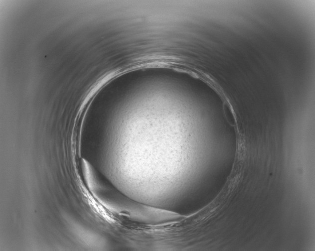 X0000086050859200703301104