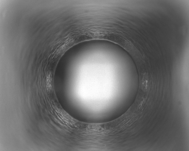 X0000086050866200703301103