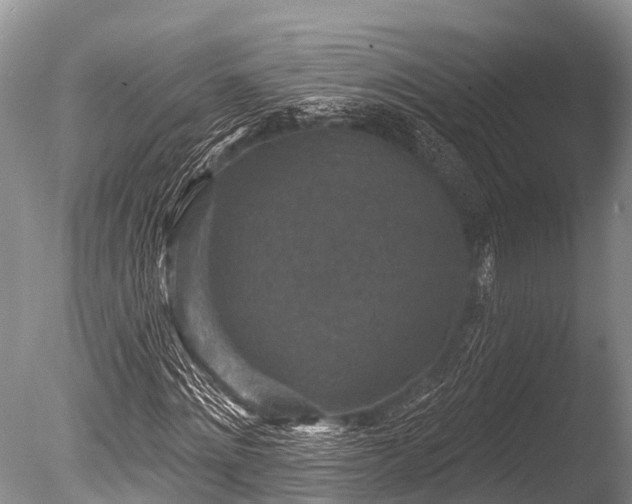 X0000086050868200703301103