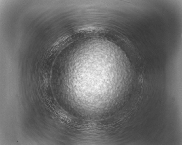 X0000086050869200703301103