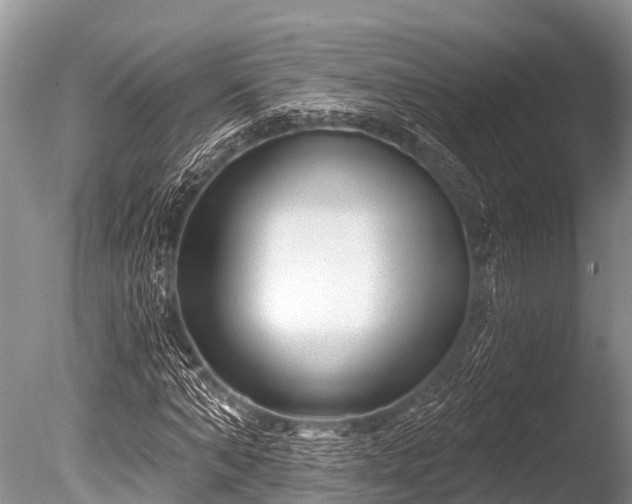 X0000086050870200703301103