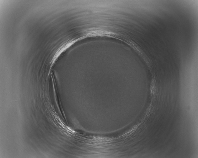 X0000086050877200703301103