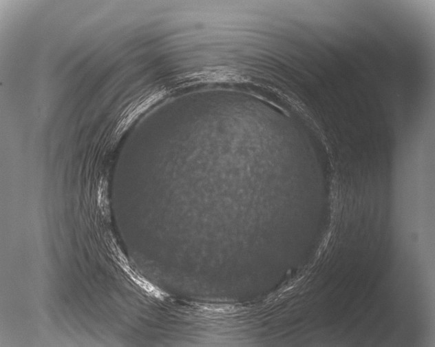 X0000086050881200703301103