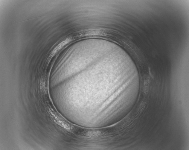 X0000086050882200703301103