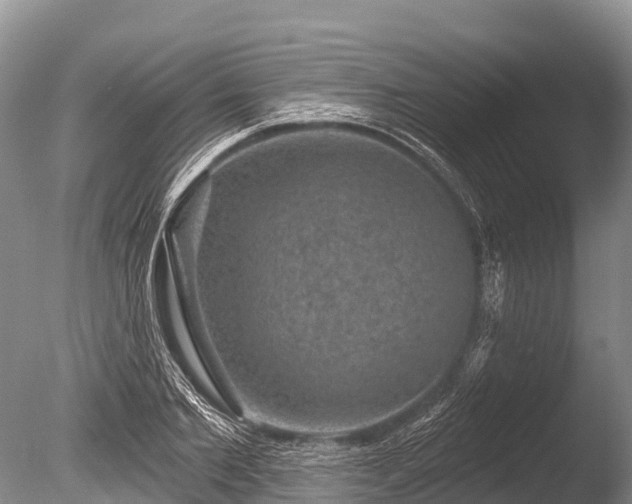 X0000086050885200703301103
