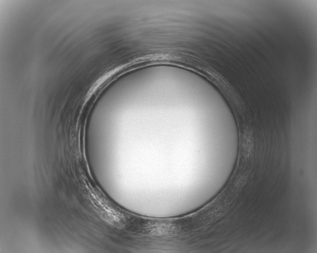 X0000086050886200703301103