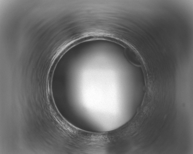 X0000086050887200703301103