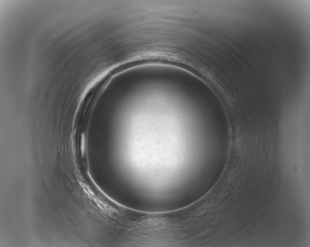 X0000086050888200703301103