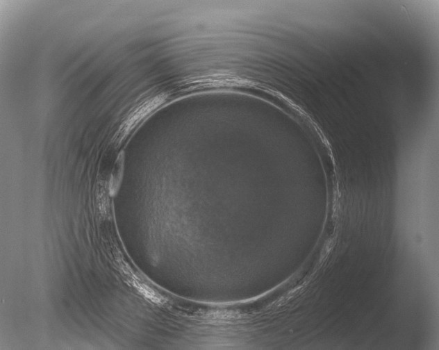X0000086050889200703301103