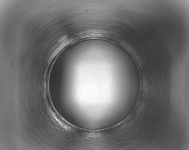 X0000086050890200703301103