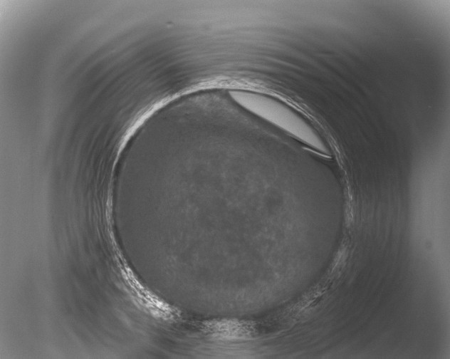 X0000086050896200703301103