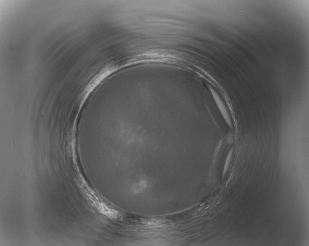 X0000086050899200703301103