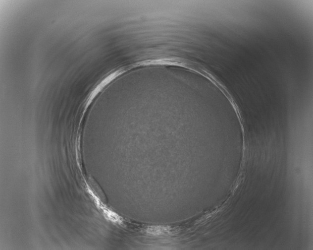 X0000086050909200703301102