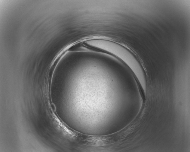 X0000086050910200703301102