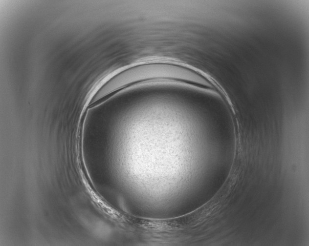 X0000086050911200703301102