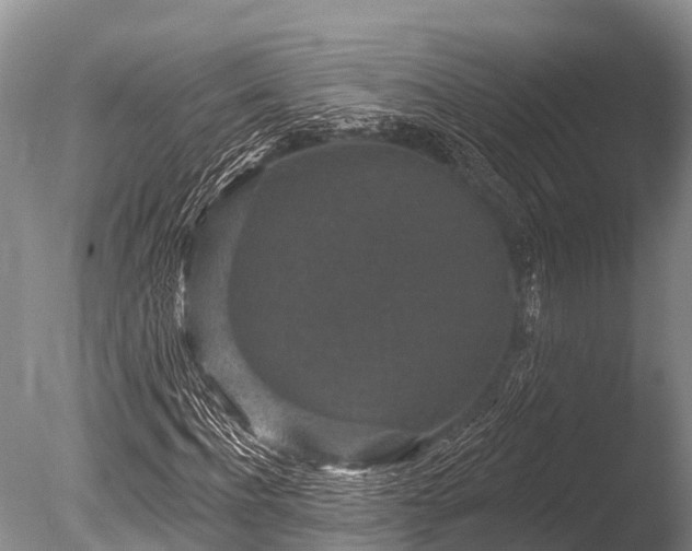 X0000086050916200703301102