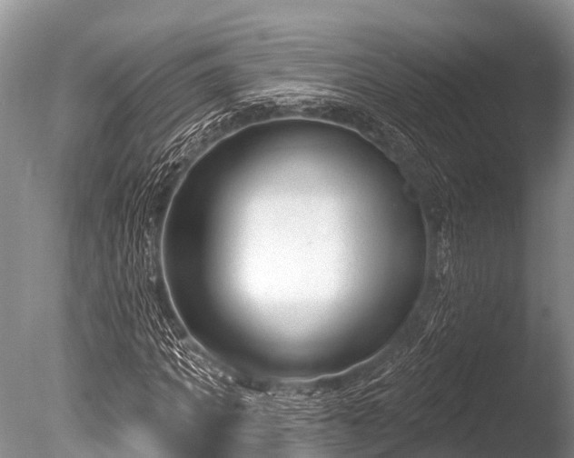 X0000086050917200703301102