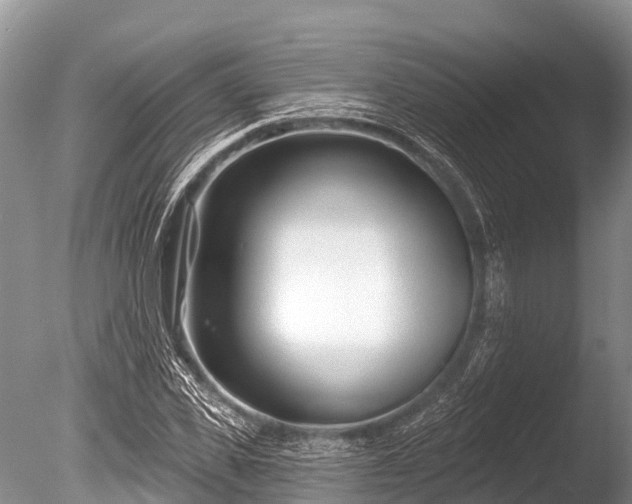 X0000086050925200703301102