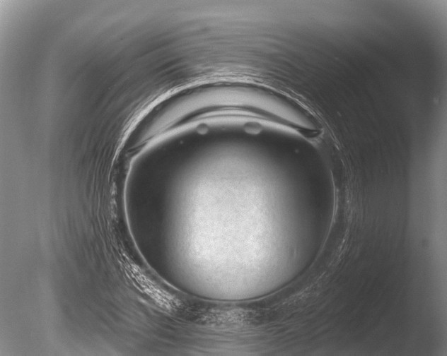 X0000086050926200703301102
