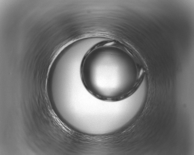 X0000086050932200703301102