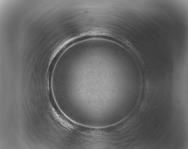 X0000086050934200703301102
