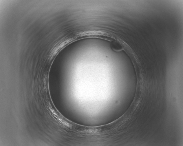 X0000086050937200703301102