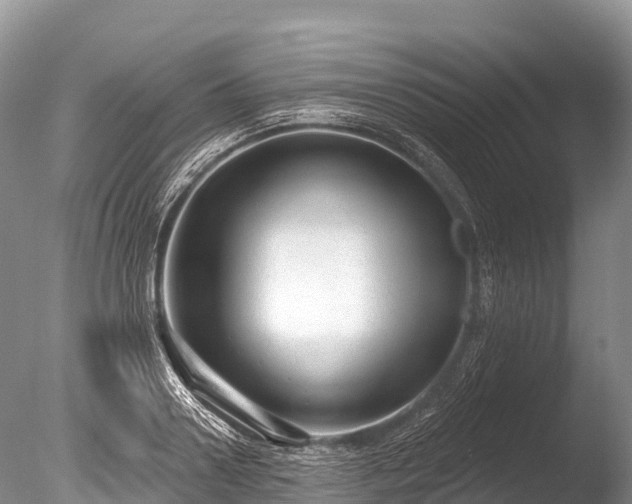 X0000086050938200703301102