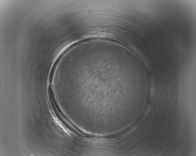 X0000086050940200703301102
