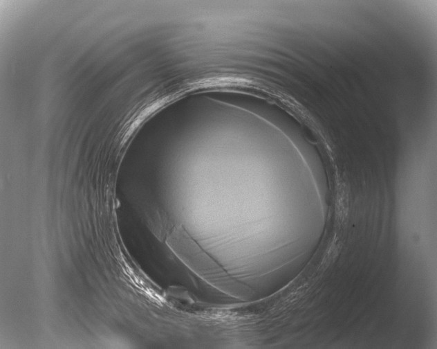 X0000086050945200703301102