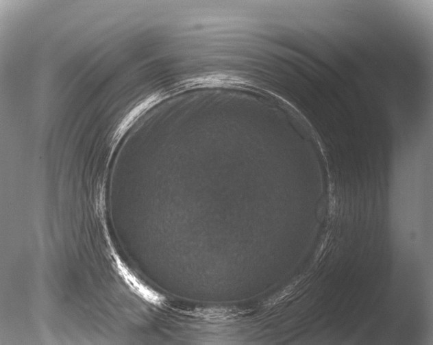 X0000086050946200703301102