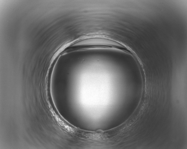 X0000086050949200703301102