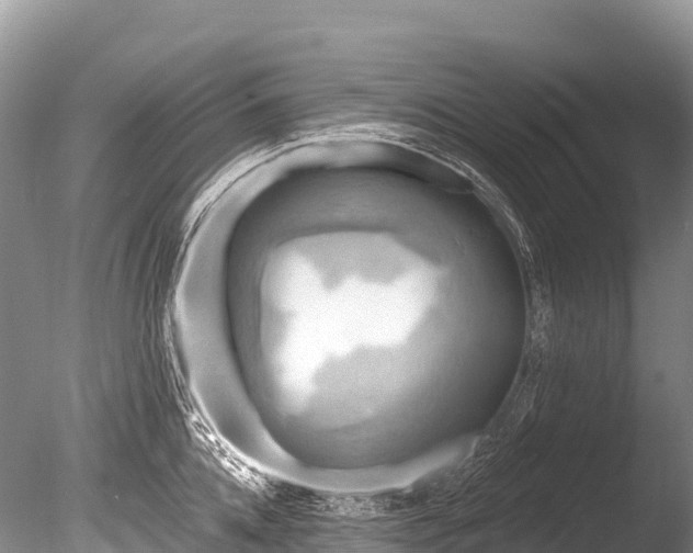 X0000086050952200703301102