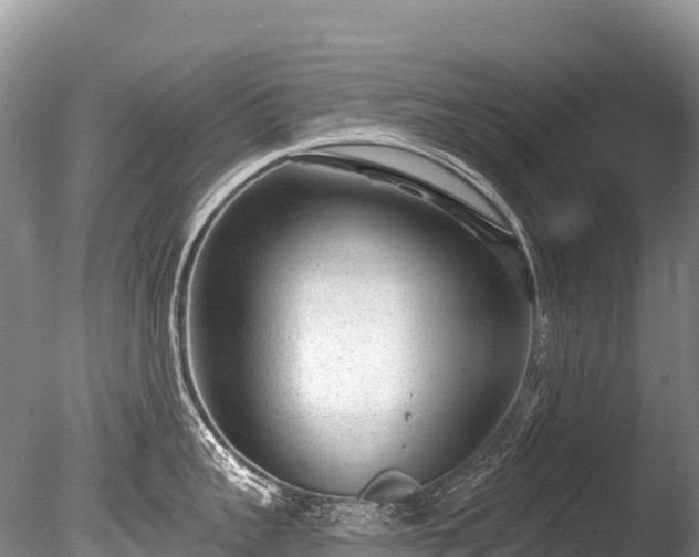 X0000086050959200703301102