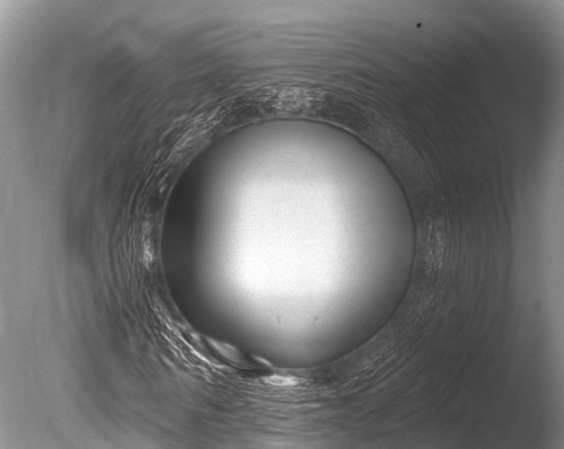 X0000086050962200703301101