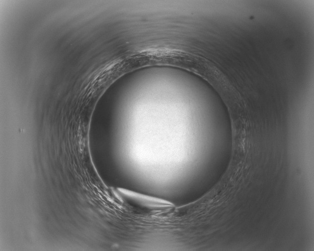 X0000086050966200703301101