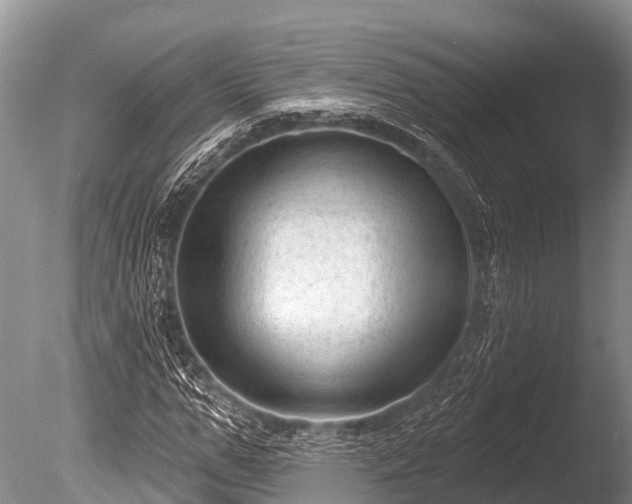 X0000086050967200703301101