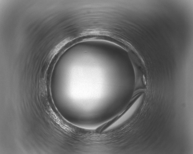 X0000086050972200703301101