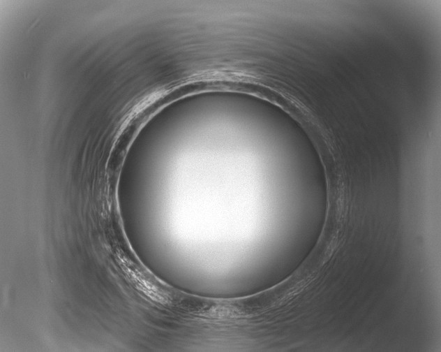 X0000086050974200703301101